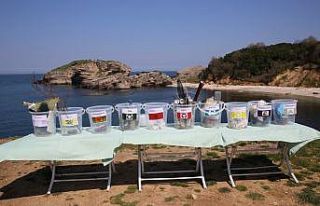 Eşsiz güzellikteki koydan çıkan çöpler acı...