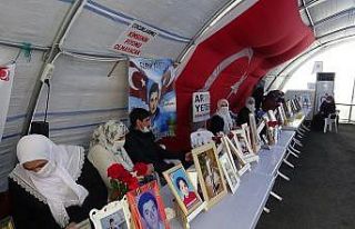 Evlat nöbetindeki kardeşten ağabeyine çağrı:...