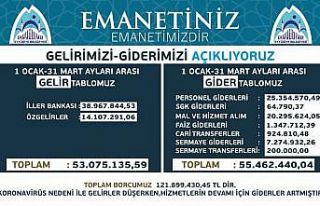 Eyyübiye’nin gelir giderleri açıklanıyor