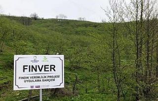 FINVER tam gaz devam ediyor