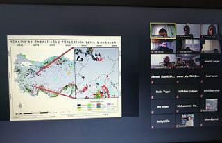 Frigya Afyonkarahisar bölgesi ve savaş alanları...