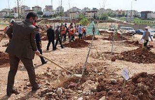 Gazeteciler "Yeşil Gaziantep" için ağaç...