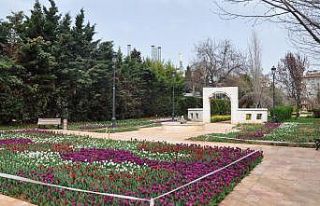Gaziantep botanik bahçesi ziyaretçilerine kapısını...