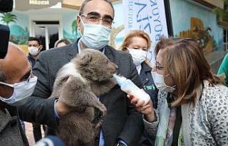 Gaziantep Hayvanat Bahçesinin yeni sakinleri tanıtıldı
