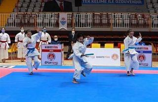 Gaziosmanpaşalı Karateciler, Türkiye Kulüpler...