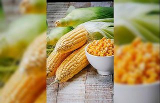 GDO’lu ürünlerde öngörülemez risk