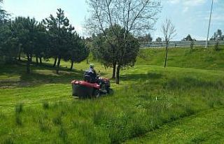 Gebze bölgesindeki yeşil alanlar yaza hazırlanıyor