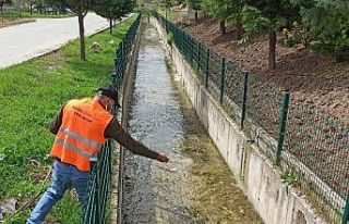 Gediz’de larva ilaçlama çalışmaları başlatıldı