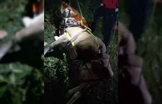 Giresun’da uçuruma yuvarlanan inek AKUT ekipleri...