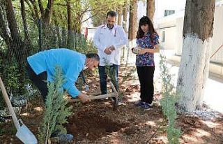 Göbek bağları hastane bahçesine gömüldü