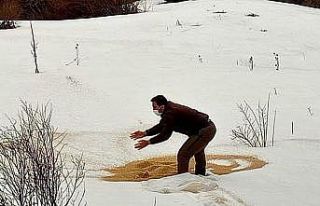 Göçmen kuşlar için yemleme çalışması yapıldı