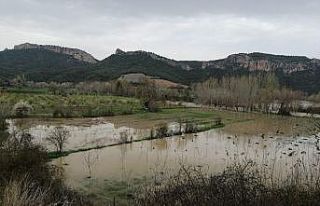 Göksu nehri taştı, tarım arazileri su altında...
