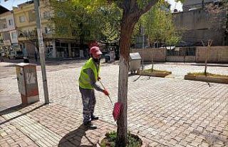 Gölbaşı Belediyesi ağaçları kireçliyor
