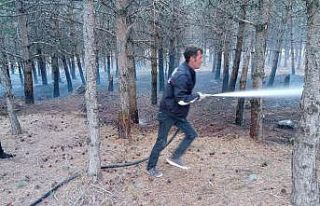 Göle’de orman yangını