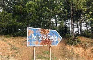 Gölpark’ın yolları köstebek yuvasına döndü