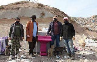Gönüllü gençler sokak hayvanları için mama istasyonları...