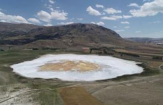 Görüntüsüyle korkutmuştu, eski haline kavuştu