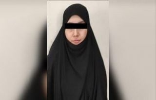 Gri listede aranan DEAŞ’lı terörist sınırı...