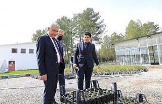 Güder, özel sera alanında incelemelerde bulundu