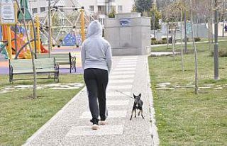 Hafta sonu parklar köpeklerini gezdiren vatandaşlara...