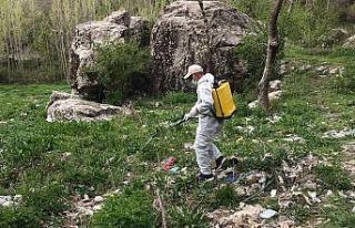 Hakkari’de ilaçlama çalışması