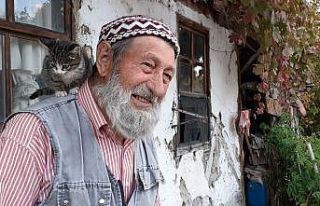 Halil dede vefat etti, kedileri öksüz kaldı
