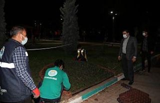 Haliliye’de gece denetimi