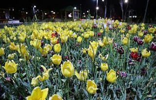 Haliliye’de parklar bahara hazırlanıyor