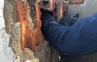 Harabeden çorap çorap bonzai çıktı: Biri çocuk...