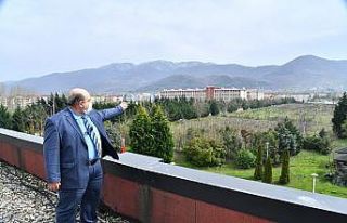 Hastalıklı meyce ağaçları rehabilite edilecek