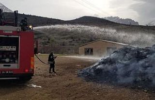 Hayvan ağılında çıkan yangın büyümeden söndürüldü