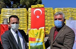 Hedef 8 bin dekarlık arazide yeni yonca alanı oluşturulmak