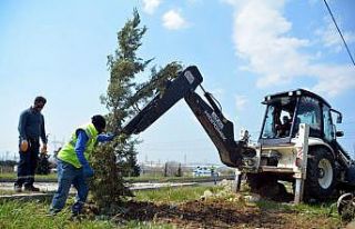 Helvacı’dan Yeni Şakran’a kadar yol kenarları...