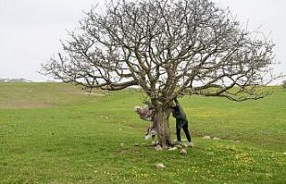 Hem çiçek topladılar, hem karın tadını çıkardılar