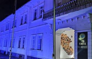 Hendek Belediyesi maviye büründü