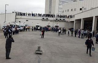 Hepsi duvardan meraklı gözlerle böyle izledi