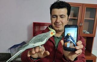 Her sabah papağan Bitik’in söylediği “Ölürüm...