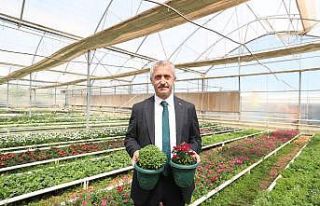 Her yıl 2 milyon çiçek üretiliyor