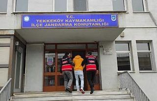 Hırsızlık şüphelisi jandarma takibinden kaçamadı