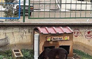 Hisarcık Şehitler Ortaokulu’nda “Pati Evi”...