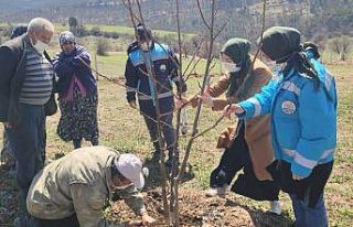 Hisarcık’ta çiftçilere budama eğitimi
