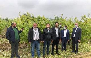 Honaz ve Serinhisar’da ön hasar tespit çalışmaları...