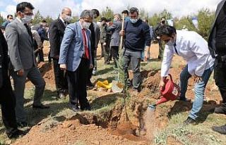 Hükümlüler, diktiği fidanları sağlık çalışanlarına...