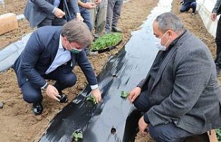 İç Anadolu’nun Çukurova’sında devlet desteğiyle...