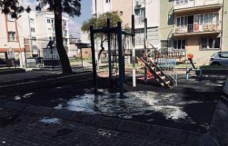 İçerisinde doğal gaz trafosu bulunan parkta çıkan...