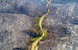 İHA foto muhabirlerine 5 ödül birden