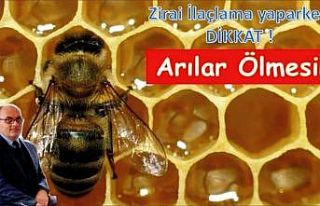 İlaçlamaya "arı" ayarı