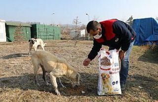 İlkadım’da kısıtlamada sokak hayvanları unutulmadı