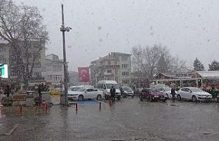 İlkbaharda yağan kar görsel şölen oluşturdu