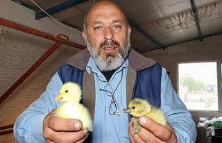 İnat etti başardı, tüm Türkiye’ye gönderiyor